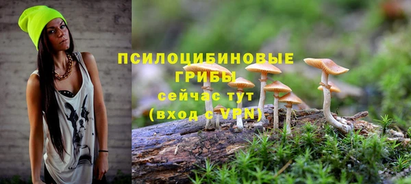 герыч Кулебаки