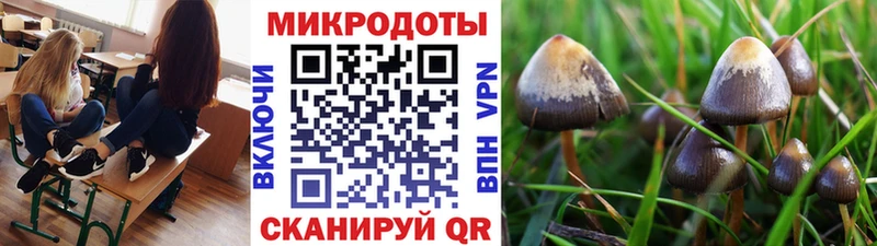 Псилоцибиновые грибы GOLDEN TEACHER  Рубцовск 