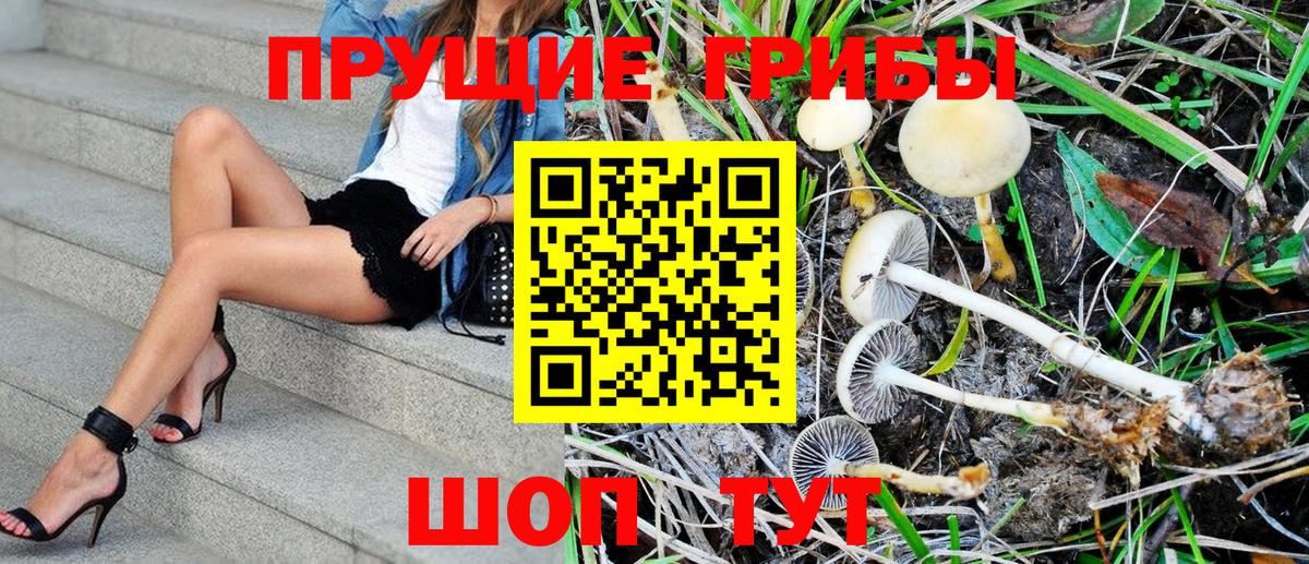 Псилоцибиновые грибы MAGIC MUSHROOMS  Галлюциногенные грибы Psilocybine cubensis  Вход с VPN  Рубцовск 